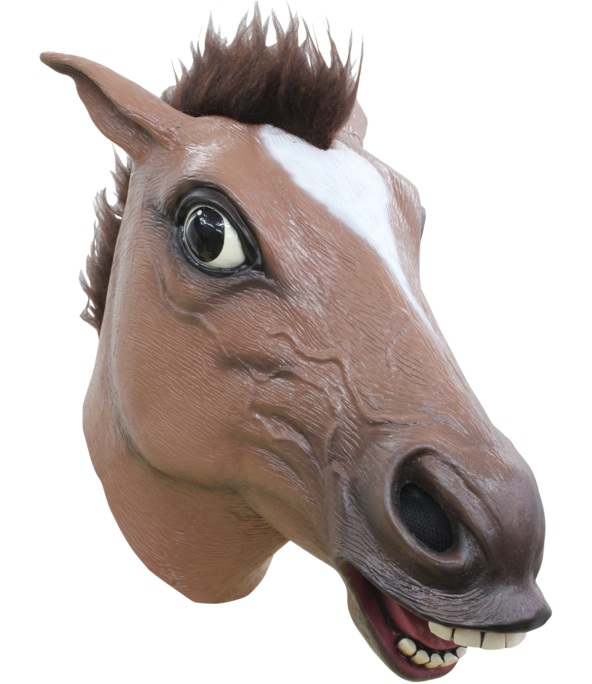 Brown Horse