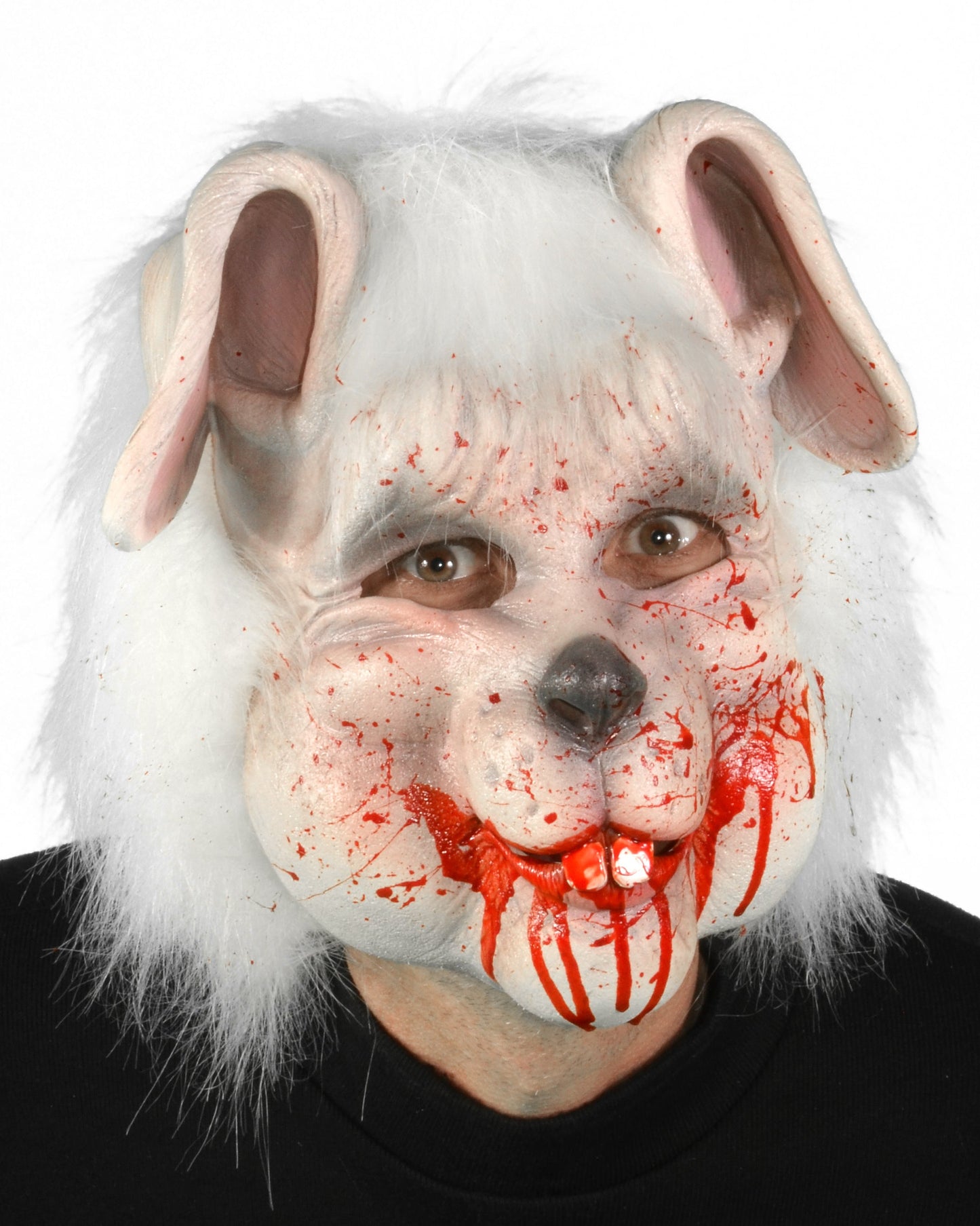 Bloody bunny