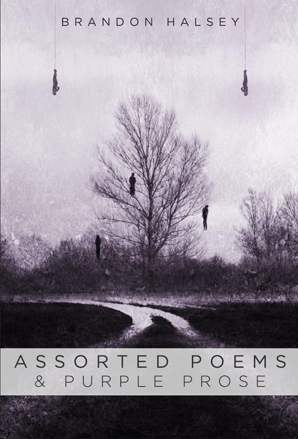 Assorted Poems and Purple Prose