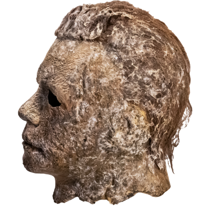 HALLOWEEN ENDS - MICHAEL MYERS MASK